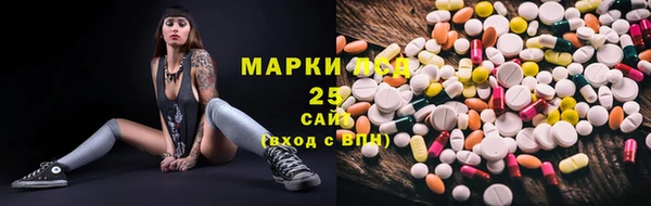mdpv Богородицк