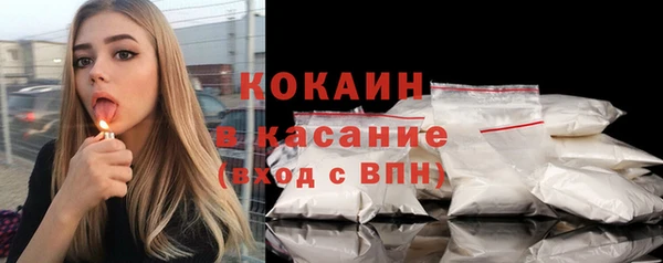 mdpv Богородицк