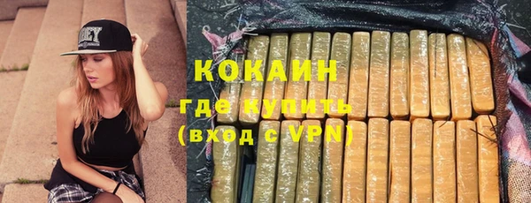 mdpv Богородицк