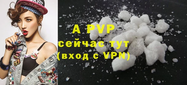mdpv Богородицк