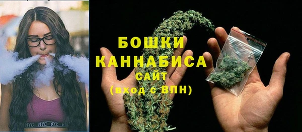 mdpv Богородск