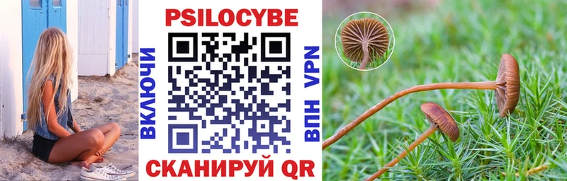 Галлюциногенные грибы MAGIC MUSHROOMS  сайты даркнета состав  Будённовск 