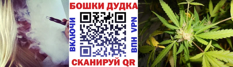 где можно купить наркотик Будённовск Шишки марихуана OG Kush